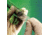 Pierce Clips F/SNAKESKN Tubing PK-6 68011