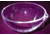 Proscience Dish EVAP. Vycor 100ML GS25335-042