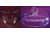 Proscience VYCOR Crucibles, ProScience GS23979-088