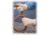 Protective Industrial Products Glove Drvr Tgrn Pig M EA1PR 70-368/M