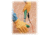 Protective Industrial Products Gloves Cnvs 16OZ Chor Men PK12 93-588
