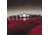 Qorpak Black Phenolic Screw Caps, Pulp/Vinyl Liner, Qorpak 5024/12