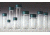 Qorpak Vial 3.8ML W/BLK Ps Cap CS144 2502B