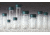 Qorpak Vial Glass Thread 1/2OZ CS72 2508