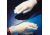 Sperian Personal Protective Equipment Finger Tip Sm Seamls Ply EA=PR PF600-S