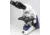 Unico Led Illum Binocular Infinity Microscope G386 Led Main