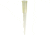 VWR and Signature Non-Bevel Pipet Tips 1071-800-000 Vwr Tips