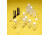 Vwr Cell Micro Blackside PK2 58016-505