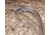 Vwr Tubing Pvc 3/16X1/4 100FT V1100841-100