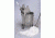 VWR Tubular Knit Mop Heads 33502-730 Tubular Knit Mop Head, Sterile