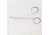 Walter Stern Dissecting Scissors, 41/2 310-066 Scissors Fine Bent