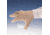 Wells Lamont Hand Guard Ii Glove Sm 333021