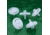 Whatman Puradisc 25 TF Syringe Filters, Whatman 6784-2504