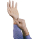 Ansell Healthcare Glove Pwdrfree 69-318 Sm PK100 516700