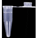Axygen PCR Tubes, Axygen Scientific PCR-05-R 0.5 Ml Tubes With Flat Caps
