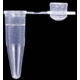 Axygen Tube Pcr Lr Flat 0.5ML PK1000 PCR-05-L-C