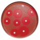 BD BBL Sensi-Disc Antimicrobial Susceptibility Test Discs, BD Diagnostic Systems 231706 Levofloxacin