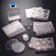 BD BioCoat Cellware, Laminin, BD Biosciences 354507 Multiwell Plates 48-Well
