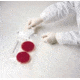 BD GasPak EZ Pouch Systems, BD Diagnostics 260685 Campy Pouch System, Microaerophilic