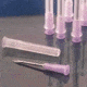BD Needle Disposabl 25GX7/8 PK100 305124