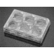 BD Plate Carboxyl 6-well 356773, Unit CS