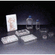 BD Primaria Treated Labware, Sterile, BD Biosciences 353810 Culture Flasks With Vented Caps 75 cm2, Straight Neck