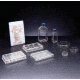 BD Primaria Treated Labware, Sterile, BD Biosciences 353824 Culture Flasks With Plug-Seal Caps 75 cm2, Straight Neck