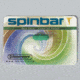 Bel-Art Spinbar Rare Earth Oct 1x3/8 F371020138, Unit EA