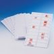 Bel-Art Tray Microscope Slide 6/PK Wht 445810000 Tray Microscope Slide 6/PK Wht, Pack