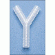 Bel-Art Y Connector 1/8 PK12 196120000