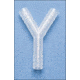 Bel-Art Y Connector 3/16'' PK/12 196130000