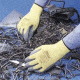 Best Manufacturing Skinny Dip Aramid Gloves, Best Manufacturing 4811-08