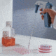 Biohit Midi Pluspptte Cntrlr 1-100ML 710929
