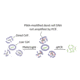 Biotium Pma 40013, Unit EA