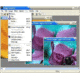 Bodelin ProScope Compatible ImageAnalyzer Visual
