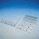 C.B.S. Scientific Comb 1.5MM X 1 Well SGC20-1501
