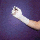 Cardinal Health Triflex Sterile Latex Surgical Gloves, Powdered, Cardinal Health 2D7253