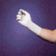 Cardinal Health Triflex Sterile Latex Surgical Gloves, Powdered, Cardinal Health 2D7255