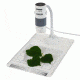 Carson 75/x300x eFlex Digital Microscope w/Flex Neck Stand and Base MM-840
