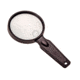 Carson MagniView 2x Hand Magnifier with 4.5x Spot Lens, Black DS-36
