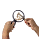 Carson MagniView 2x Hand Magnifier with 4.5x Spot Lens, Black DS-36