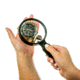 Carson MagniView 2x Hand Magnifier with 4.5x Spot Lens, Black DS-36