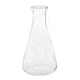 Chemglass Flask Erlenmeyer Blank 1L CG-620-07