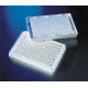Corning 96WL Fltr Plt 0.2 Mcrn Wh 50CS 3504