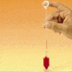Drummond Wiretrol I Disposable Micropipets, Drummond 5-000-1001