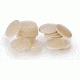 EP Scientific Flat Disc CS144 S24-400-S2