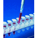 Eppendorf Tips Dualfilter 1250ul Cs480 022494002, Unit CS