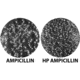 G-Biosciences Ampicillin 1000x 5 X 1ml GD-6060, Unit EA