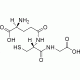 G-Biosciences Glutathione Reduced 1g 786-587, Unit EA