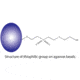 G-Biosciences Resin Thiophilic Kit 786-266, Unit EA